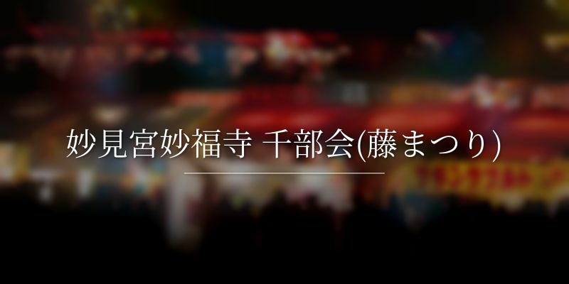 妙見宮妙福寺 千部会(藤まつり)