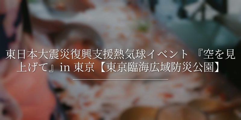 東日本大震災復興支援熱気球イベント 『空を見上げて』in 東京【東京臨海広域防災公園】