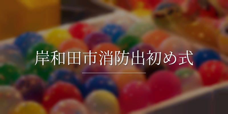 岸和田市消防出初め式