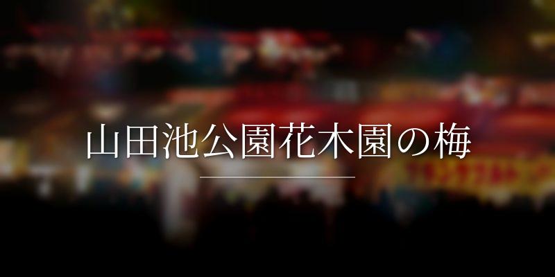 山田池公園花木園の梅