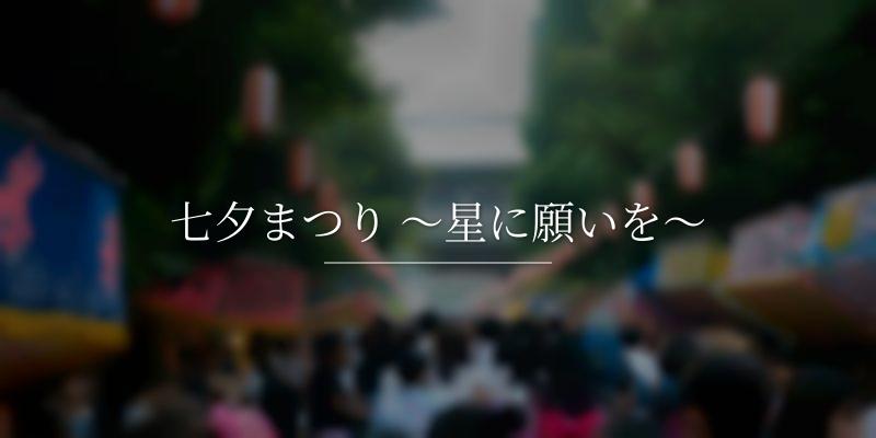 七夕まつり ～星に願いを～