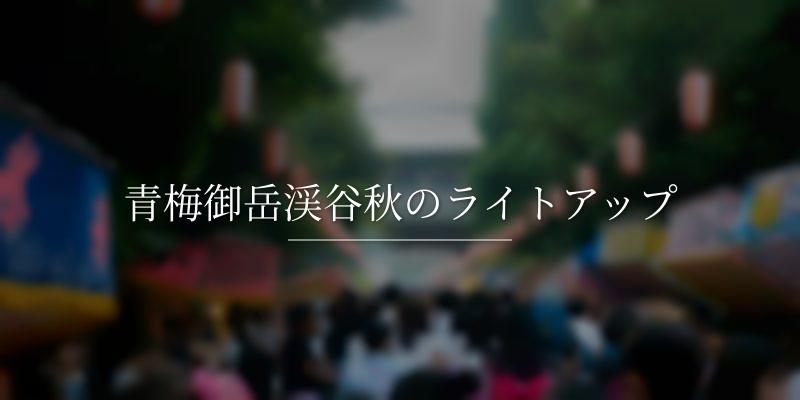 青梅御岳渓谷秋のライトアップ