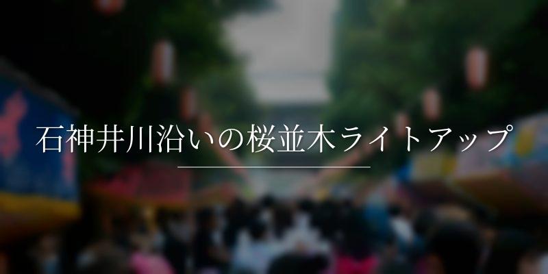 石神井川沿いの桜並木ライトアップ