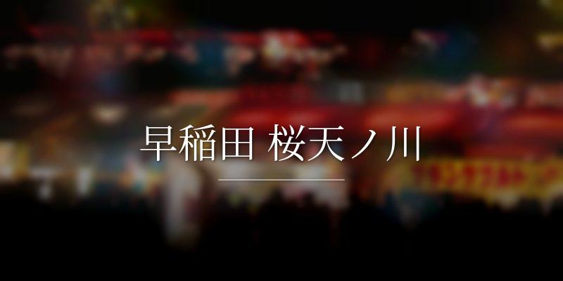 早稲田 桜天ノ川