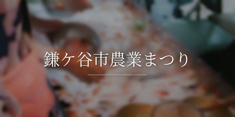 鎌ケ谷市農業まつり