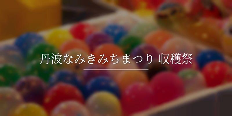 丹波なみきみちまつり 収穫祭