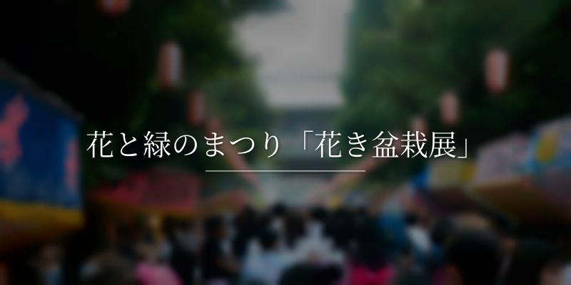 花と緑のまつり「花き盆栽展」