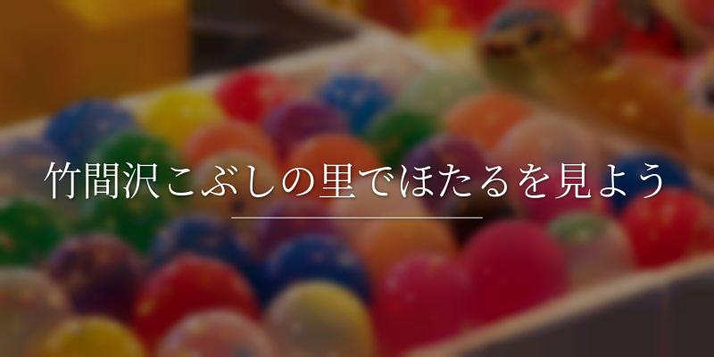 竹間沢こぶしの里でほたるを見よう