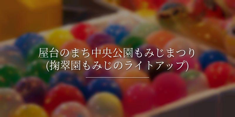 屋台のまち中央公園もみじまつり(掬翠園もみじのライトアップ)
