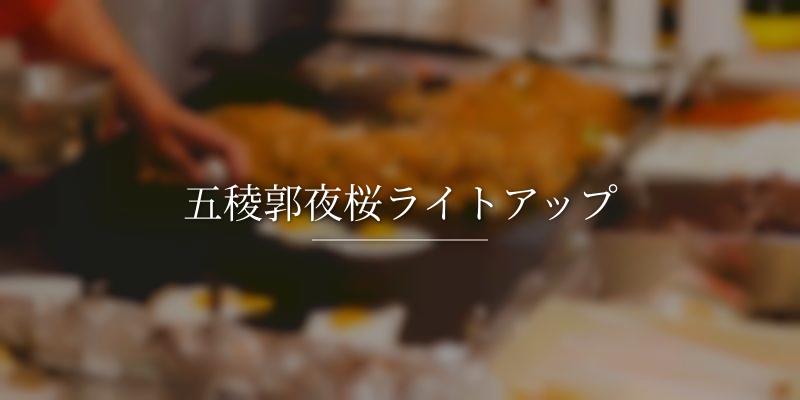 五稜郭夜桜ライトアップ