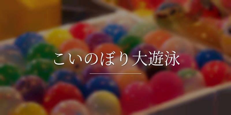 こいのぼり大遊泳