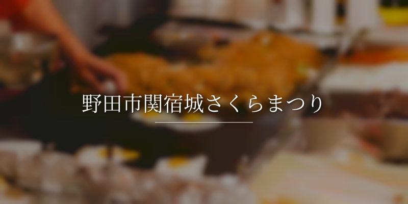 野田市関宿城さくらまつり