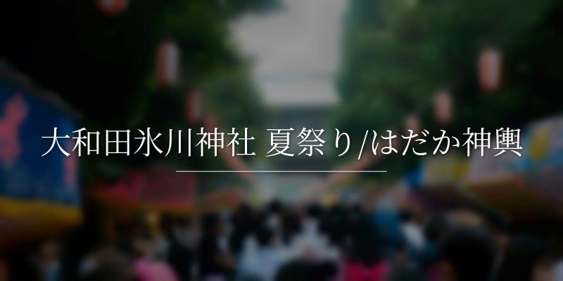 大和田氷川神社 夏祭り/はだか神輿