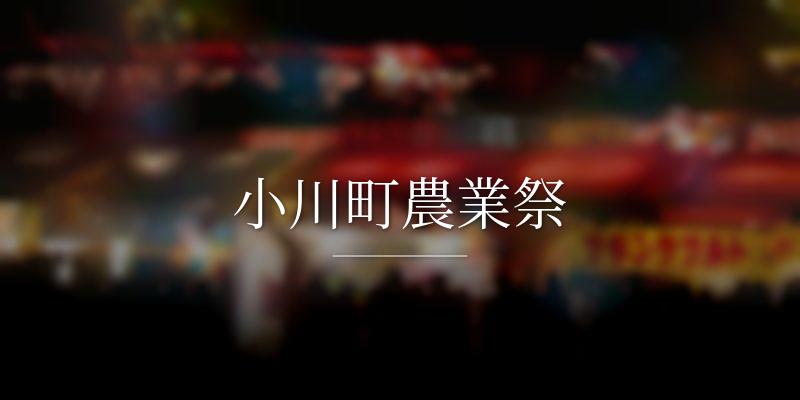 小川町農業祭