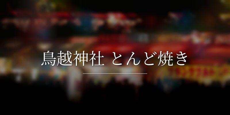 鳥越神社 とんど焼き