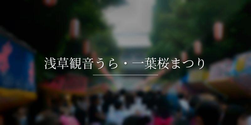 浅草観音うら・一葉桜まつり