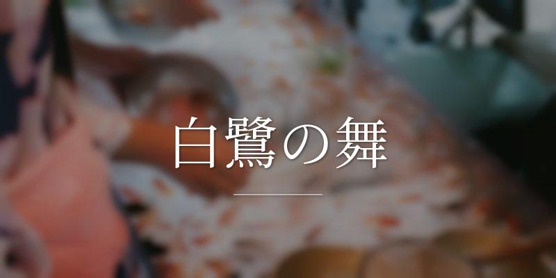 白鷺の舞