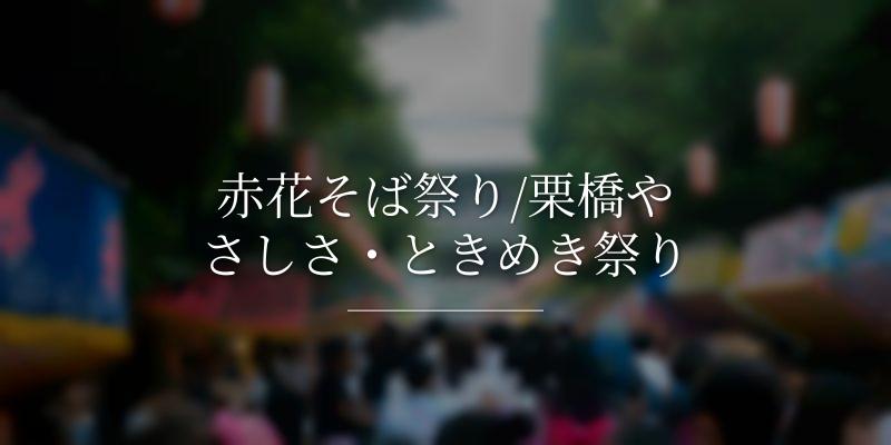 赤花そば祭り/栗橋やさしさ・ときめき祭り