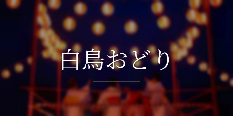 白鳥おどり