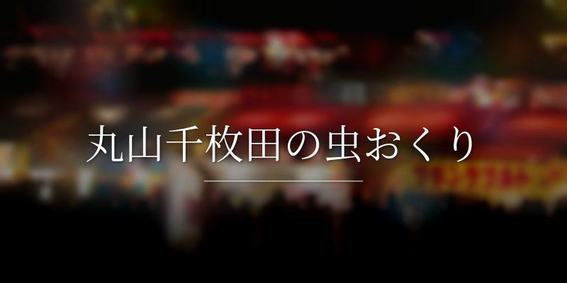 丸山千枚田の虫おくり
