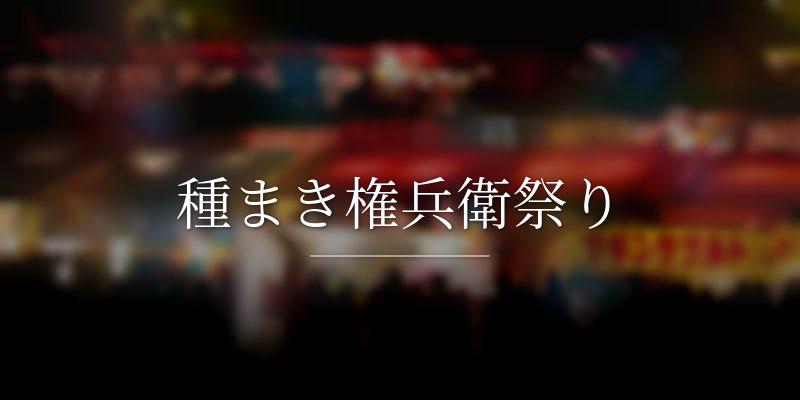 種まき権兵衛祭り