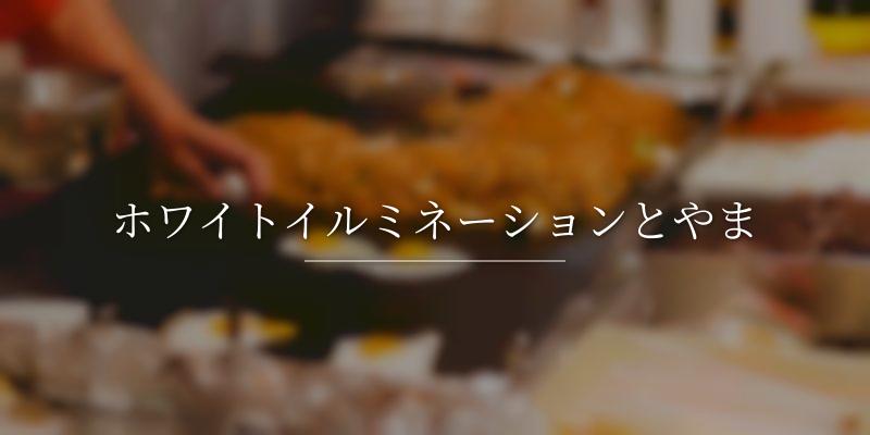 ホワイトイルミネーションとやま