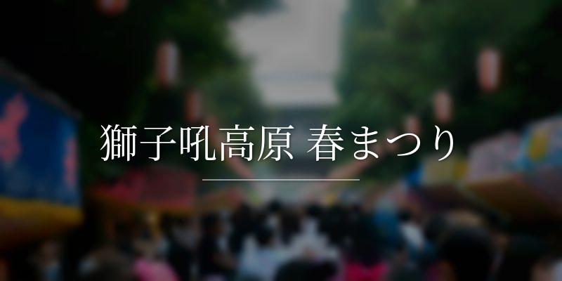 獅子吼高原 春まつり