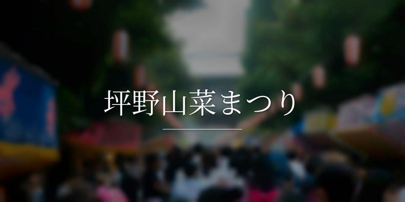 坪野山菜まつり