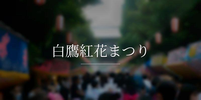 白鷹紅花まつり