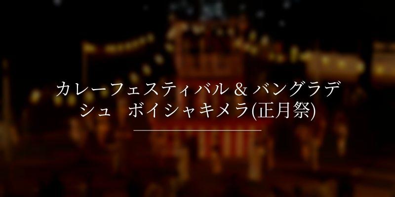 カレーフェスティバル & バングラデシュ   ボイシャキメラ(正月祭)