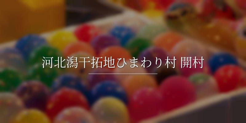 河北潟干拓地ひまわり村 開村